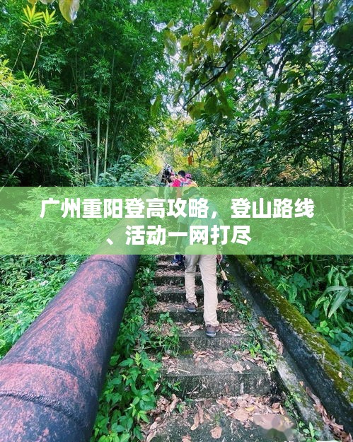 廣州重陽登高攻略，登山路線、活動(dòng)一網(wǎng)打盡