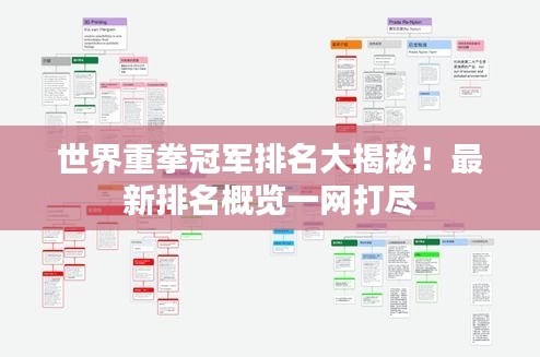 世界重拳冠軍排名大揭秘！最新排名概覽一網(wǎng)打盡