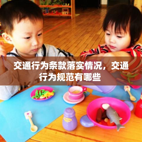 交通行為條款落實(shí)情況，交通行為規(guī)范有哪些 