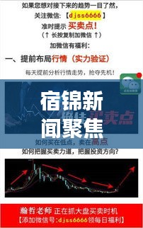 宿錦新聞聚焦時(shí)事熱點(diǎn)，解讀地方發(fā)展新動(dòng)態(tài)