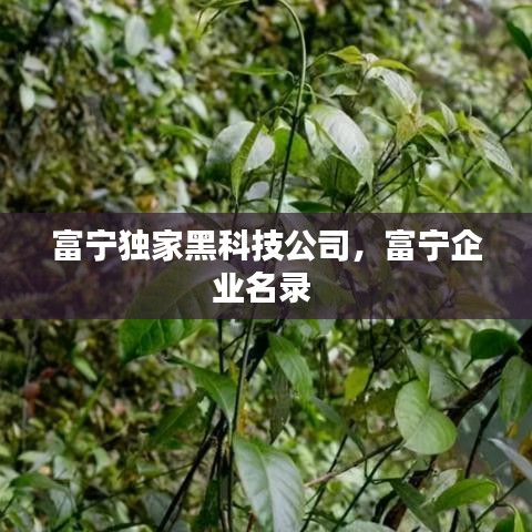 富寧獨(dú)家黑科技公司，富寧企業(yè)名錄 