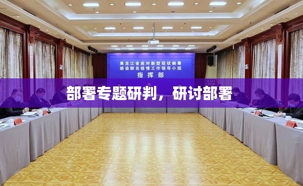 部署專題研判，研討部署 