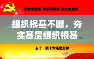 組織根基不斷，夯實基層組織根基 