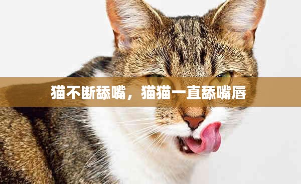 貓不斷舔嘴，貓貓一直舔嘴唇 