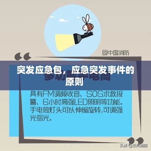 突發(fā)應(yīng)急包，應(yīng)急突發(fā)事件的原則 