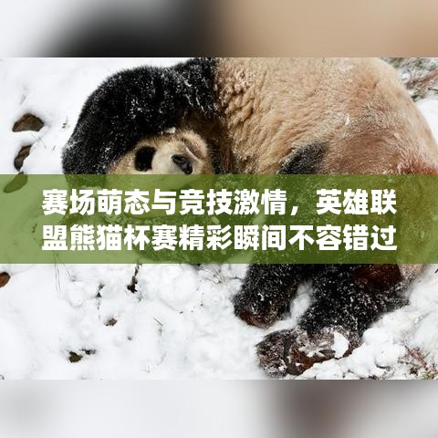 賽場(chǎng)萌態(tài)與競(jìng)技激情，英雄聯(lián)盟熊貓杯賽精彩瞬間不容錯(cuò)過(guò)！