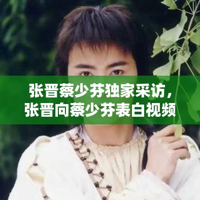 張晉蔡少芬獨家采訪，張晉向蔡少芬表白視頻 
