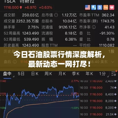 今日石油股票行情深度解析，最新動(dòng)態(tài)一網(wǎng)打盡！