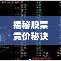 揭秘股票競(jìng)價(jià)秘訣，輕松掌握股市入門技巧