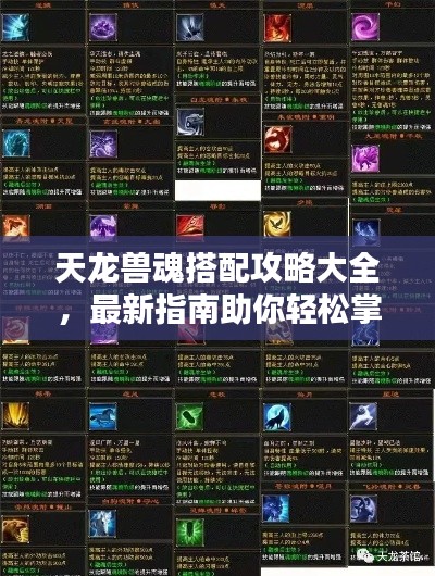天龍獸魂搭配攻略大全，最新指南助你輕松掌握搭配技巧！