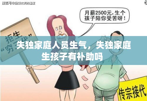 失獨家庭人員生氣，失獨家庭生孩子有補(bǔ)助嗎 