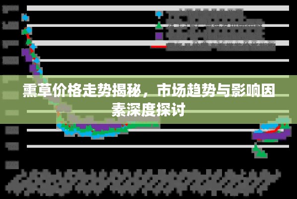 熏草價格走勢揭秘，市場趨勢與影響因素深度探討