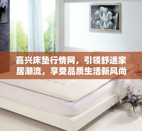 嘉興床墊行情網(wǎng)，引領(lǐng)舒適家居潮流，享受品質(zhì)生活新風(fēng)尚