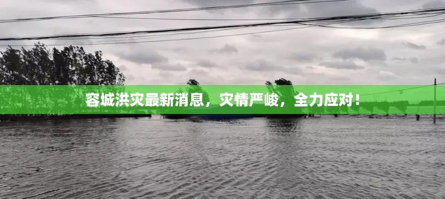 容城洪災(zāi)最新消息，災(zāi)情嚴峻，全力應(yīng)對！