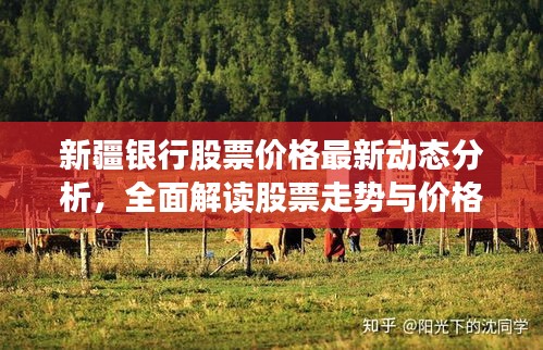 新疆銀行股票價格最新動態(tài)分析，全面解讀股票走勢與價格表