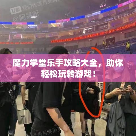 魔力學(xué)堂樂手攻略大全，助你輕松玩轉(zhuǎn)游戲！