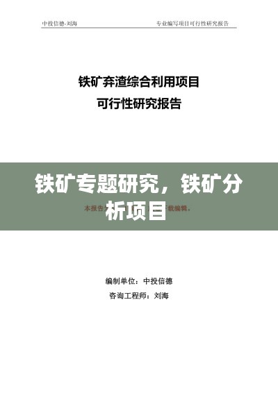 鐵礦專題研究，鐵礦分析項目 