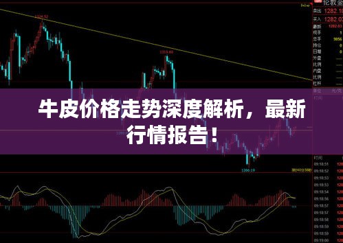 牛皮價(jià)格走勢深度解析，最新行情報(bào)告！