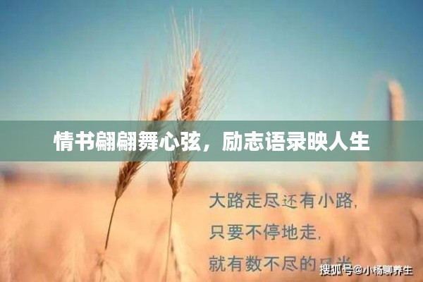 情書翩翩舞心弦，勵志語錄映人生