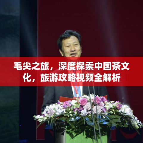 毛尖之旅，深度探索中國(guó)茶文化，旅游攻略視頻全解析