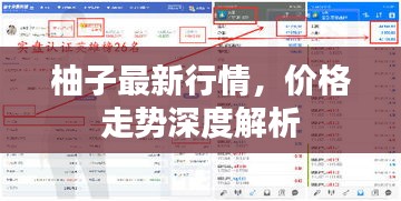 柚子最新行情，價(jià)格走勢深度解析
