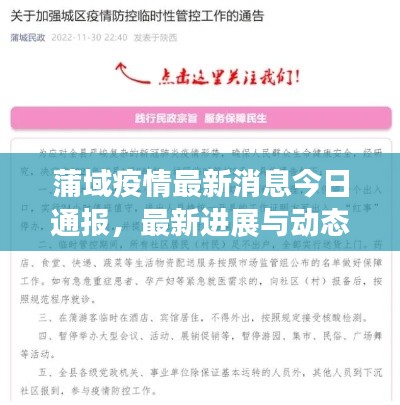 蒲域疫情最新消息今日通報，最新進展與動態(tài)關(guān)注