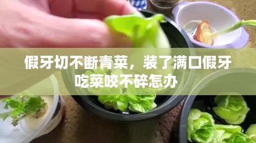假牙切不斷青菜，裝了滿口假牙吃菜咬不碎怎辦 