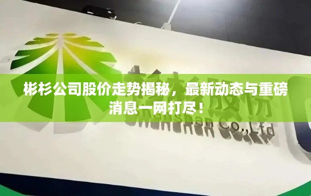 彬杉公司股價走勢揭秘，最新動態(tài)與重磅消息一網(wǎng)打盡！