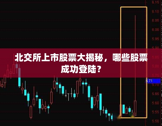 北交所上市股票大揭秘，哪些股票成功登陸？