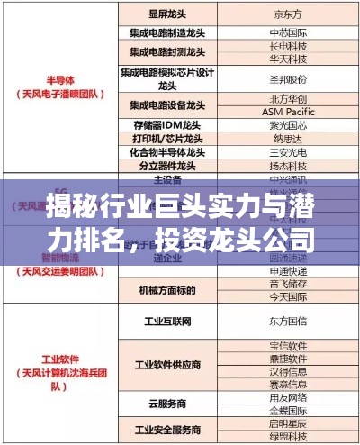 揭秘行業(yè)巨頭實力與潛力排名，投資龍頭公司的首選參考