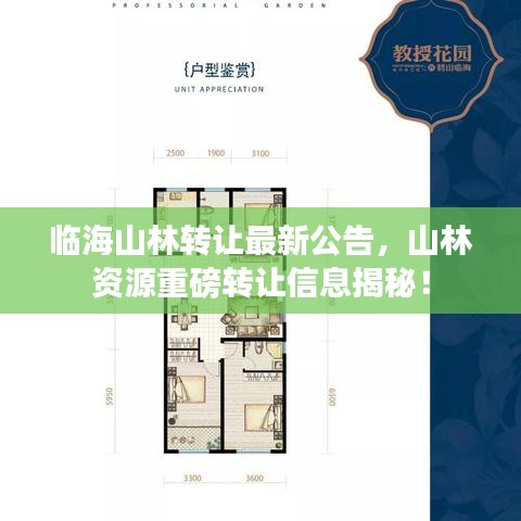 臨海山林轉(zhuǎn)讓最新公告，山林資源重磅轉(zhuǎn)讓信息揭秘！