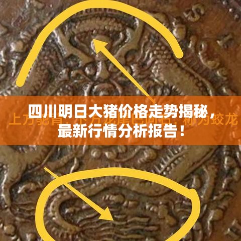 四川明日大豬價格走勢揭秘，最新行情分析報告！