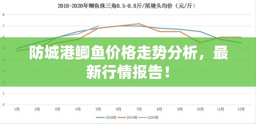 防城港鯽魚價格走勢分析，最新行情報告！