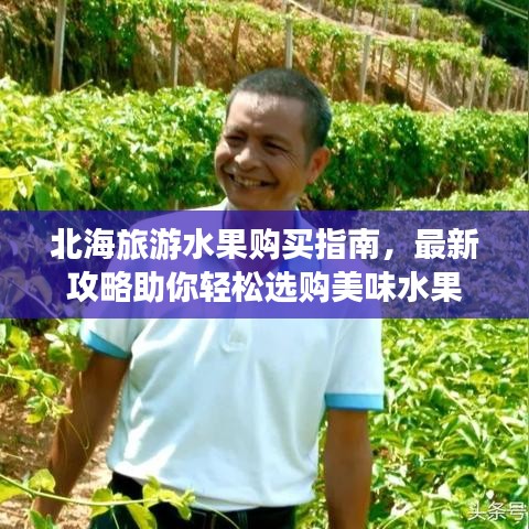 北海旅游水果購(gòu)買(mǎi)指南，最新攻略助你輕松選購(gòu)美味水果