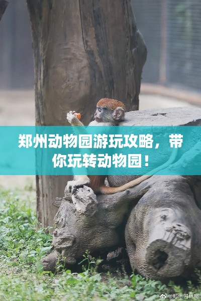 鄭州動(dòng)物園游玩攻略，帶你玩轉(zhuǎn)動(dòng)物園！