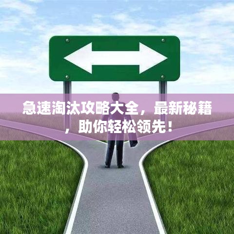 急速淘汰攻略大全，最新秘籍，助你輕松領(lǐng)先！