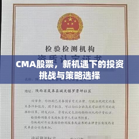 CMA股票，新機(jī)遇下的投資挑戰(zhàn)與策略選擇