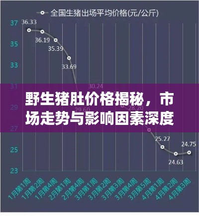 野生豬肚價格揭秘，市場走勢與影響因素深度解析