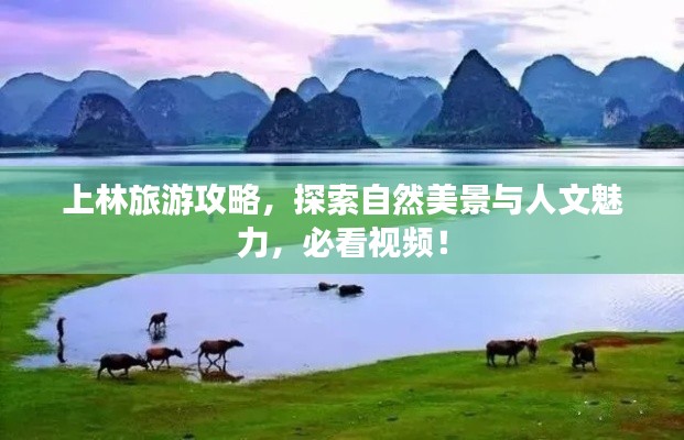 上林旅游攻略，探索自然美景與人文魅力，必看視頻！