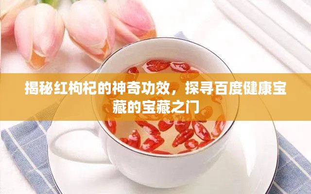 揭秘紅枸杞的神奇功效，探尋百度健康寶藏的寶藏之門