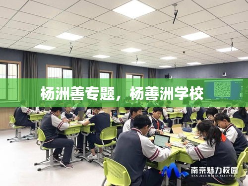 楊洲善專題，楊善洲學校 