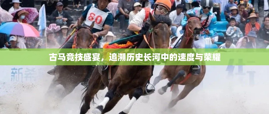 古馬競技盛宴，追溯歷史長河中的速度與榮耀