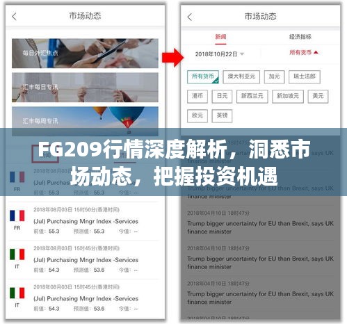 FG209行情深度解析，洞悉市場動(dòng)態(tài)，把握投資機(jī)遇