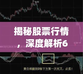 揭秘股票行情，深度解析600761走勢