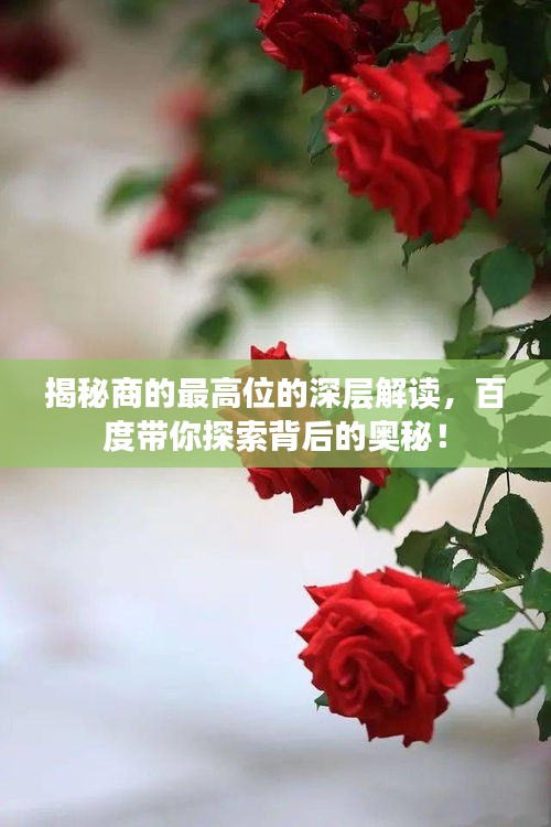 揭秘商的最高位的深層解讀，百度帶你探索背后的奧秘！
