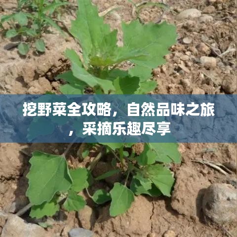 橘虞初夢 第2頁