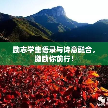 勵志學生語錄與詩意融合，激勵你前行！