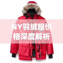 NY羽絨服價(jià)格深度解析，了解真實(shí)價(jià)格，選購(gòu)更明智！