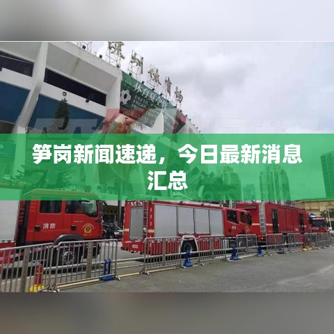 筍崗新聞速遞，今日最新消息匯總