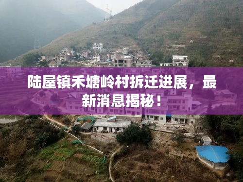 陸屋鎮(zhèn)禾塘嶺村拆遷進展，最新消息揭秘！